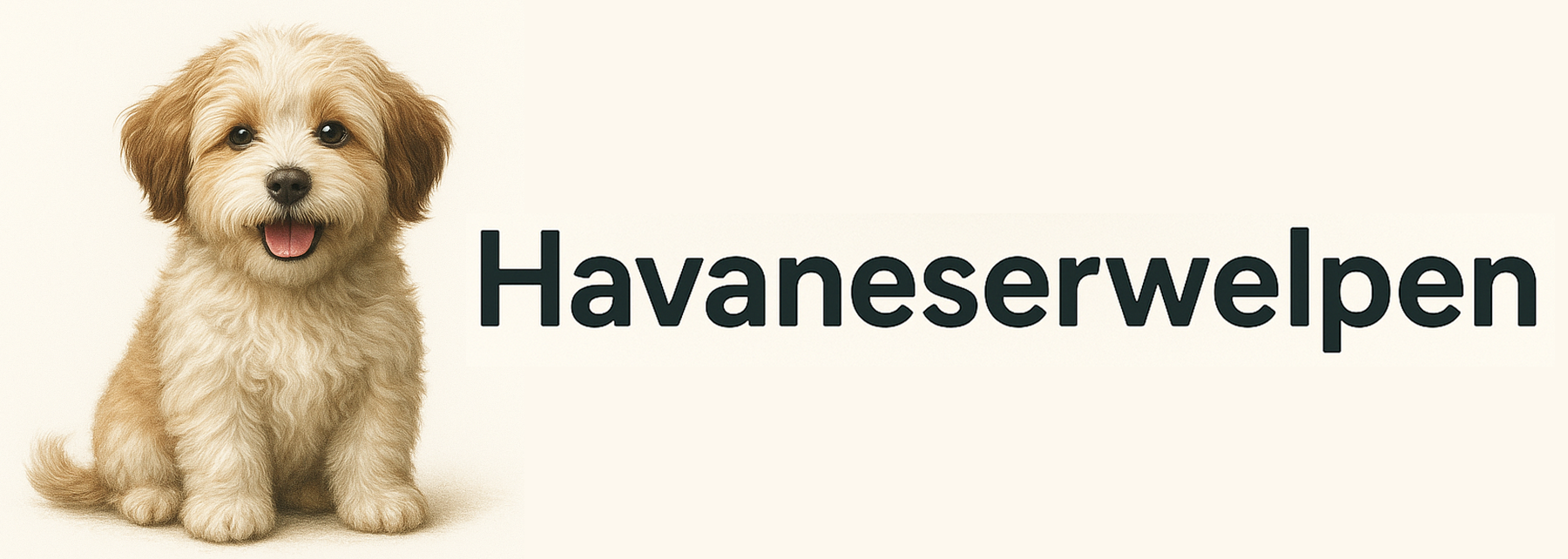 Havaneserwelpen